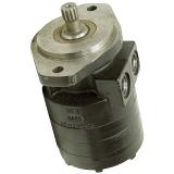 Parker 2AN Hydraulique Cylindre 02.50 BC2ANU34A 52.000/6.3cm Calibre X 132cm