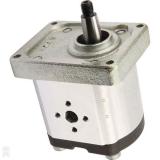 Pompe Hydraulique Direction Bosch KS01000120 Mini