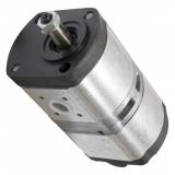 Pompe Hydraulique Bosch 0510425307 0510410303 pour Graine